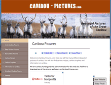 Tablet Screenshot of caribou-pictures.com